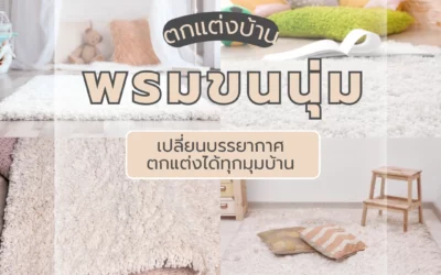หากคุณกำลังมองหา พรมขนนุ่ม ไว้ตกแต่งปลายเตียงหรือหน้ากระจก ต้องไม่พลาดบทความนี้
