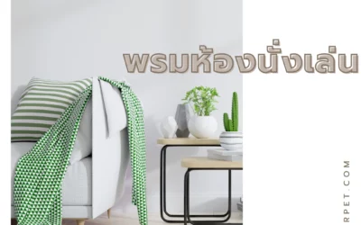 พรมห้องนั่งเล่นที่ใช่ เปลี่ยนบรรยากาศให้ผ่อนคลายและน่านั่งได้ทันที